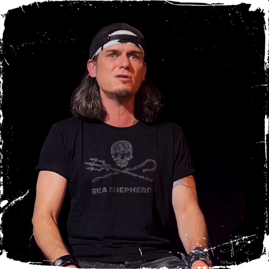 Wohnzimmerkonzert Kategorie 1 bis 300 km